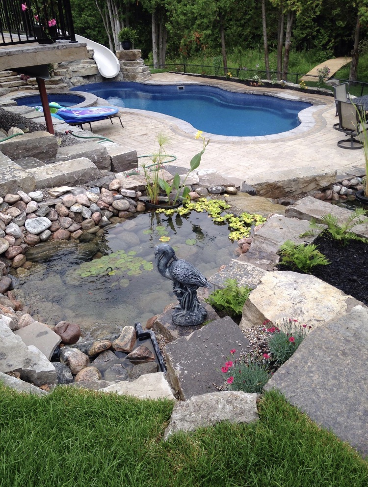 Swimming pool next to a landscaped garden and pond